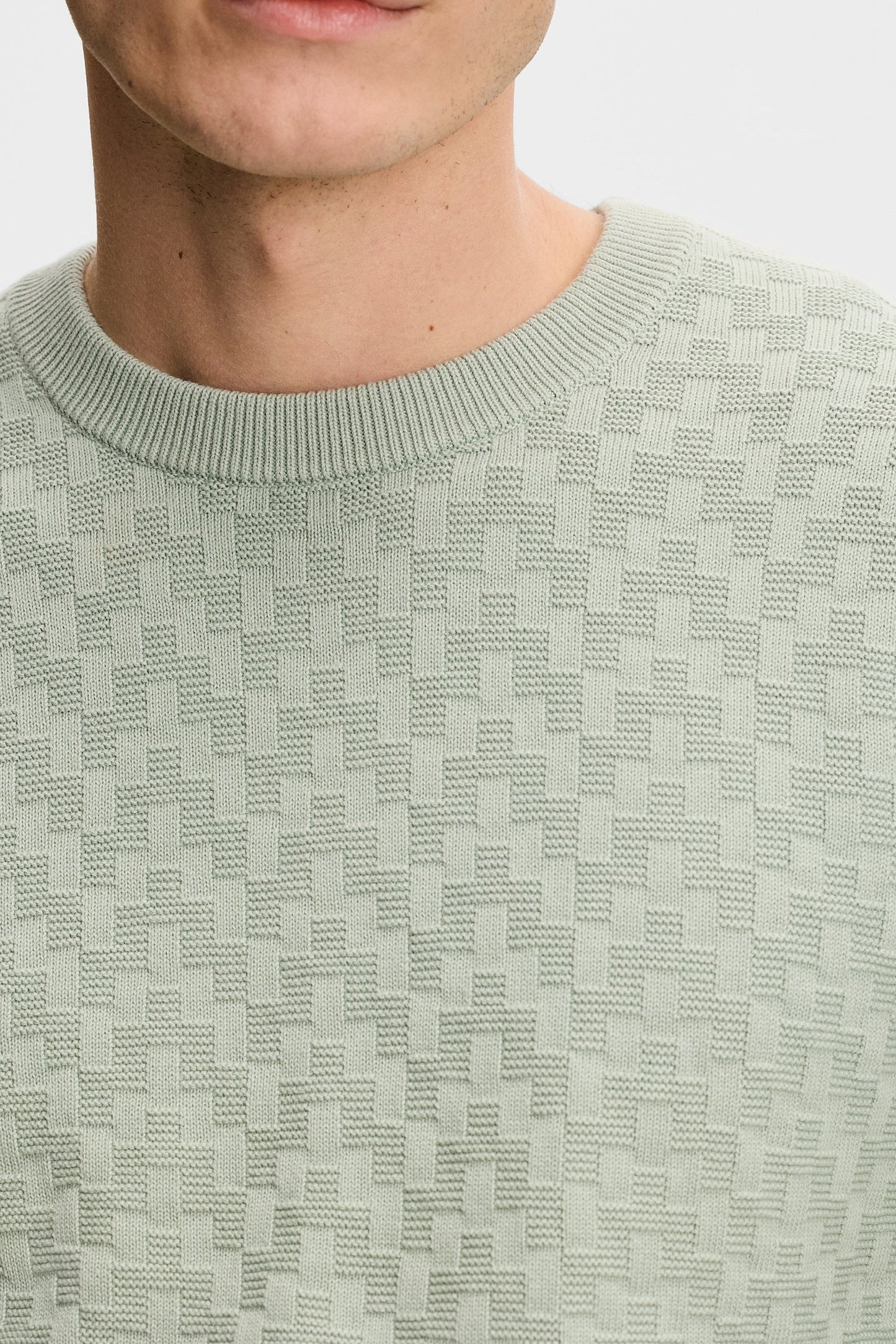 Arthur Strick Bio-Baumwolle / Jadeit